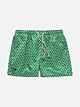 Green Tile Swim Shorts